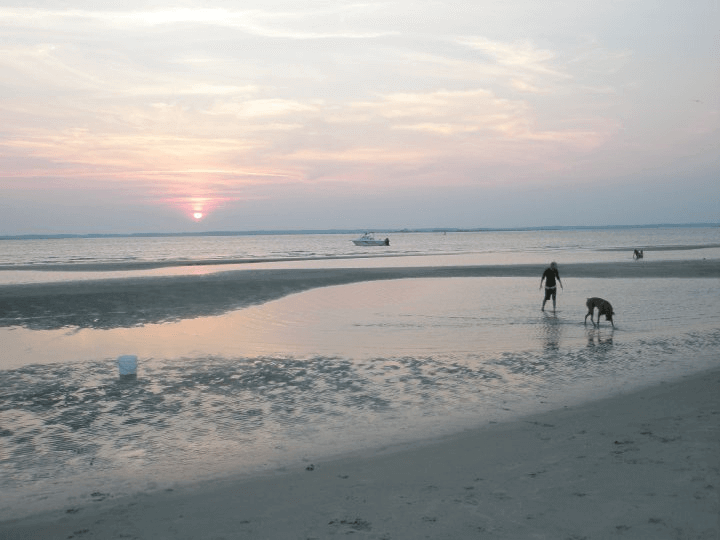 Chincoteague Island, VA & Ocean City, MD Real Estate